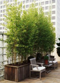 38 Beautiful Terrace Decoration Ideas | Decoration Goals