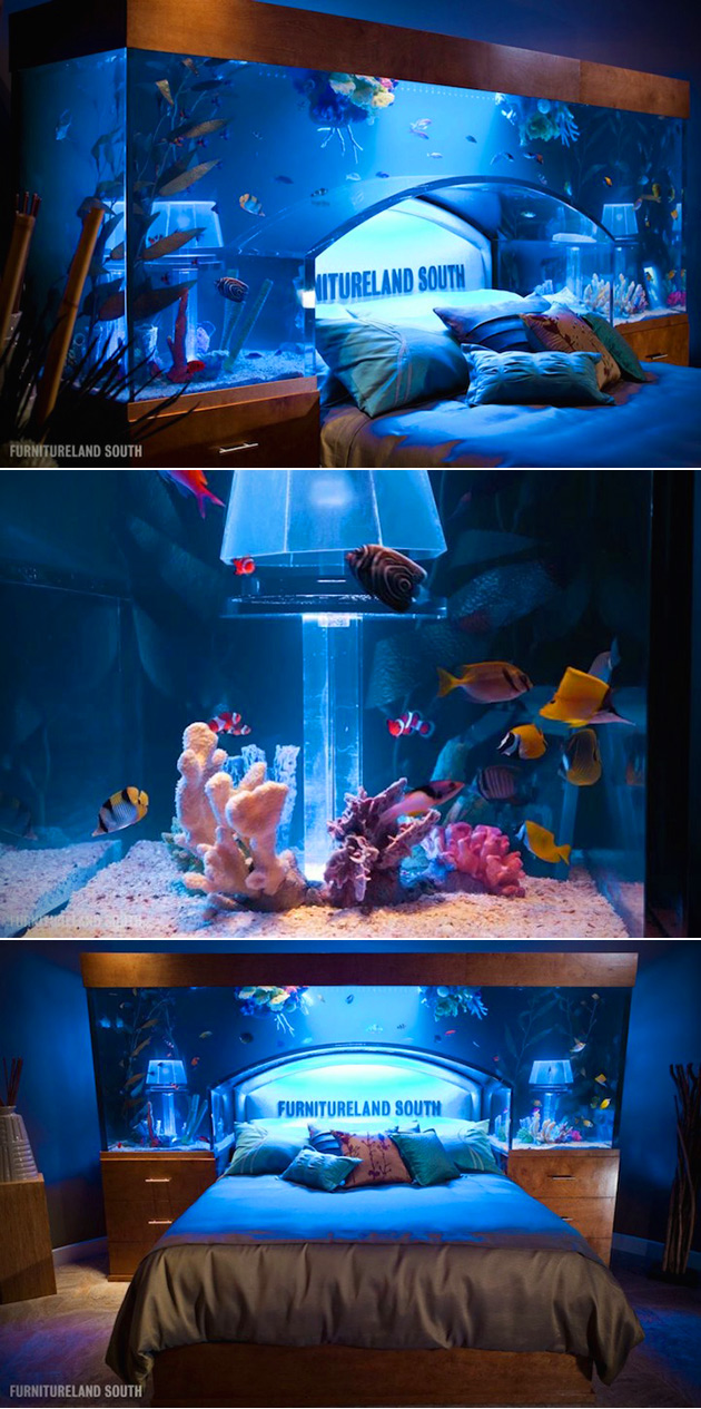 Aquarium Bed